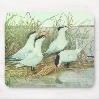 Vintage Shorebirds in a Marsh by Louis Fuertes Mouse Mat