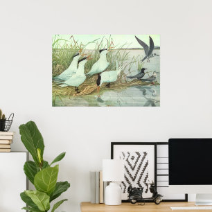 Vintage Shorebirds in a Marsh by Louis Fuertes Poster