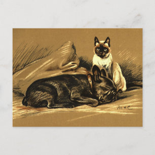 Vintage Siamese Cat and French Bulldog Postcard