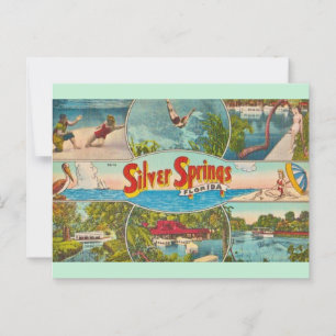 Vintage Silver Springs Attraction  Postcard