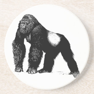 Vintage Silverback Gorilla Illustration, Black Coaster