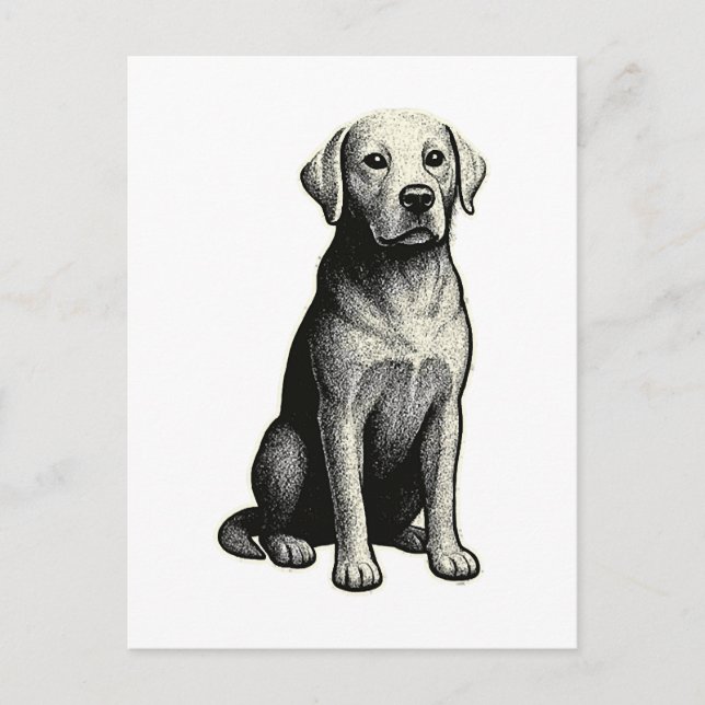 Vintage Sitting Dog Illustration Postcard (Front)