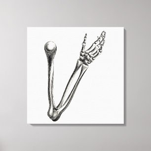 Vintage Skeleton Arm Bone Personalised Retro Bones Canvas Print