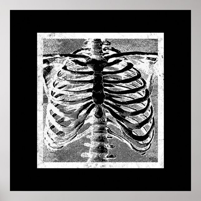 Vintage Skeleton Bones Torso Body Halloween Poster (Front)