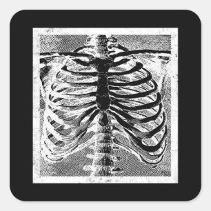 Vintage Skeleton Bones Torso Body Halloween Square Sticker