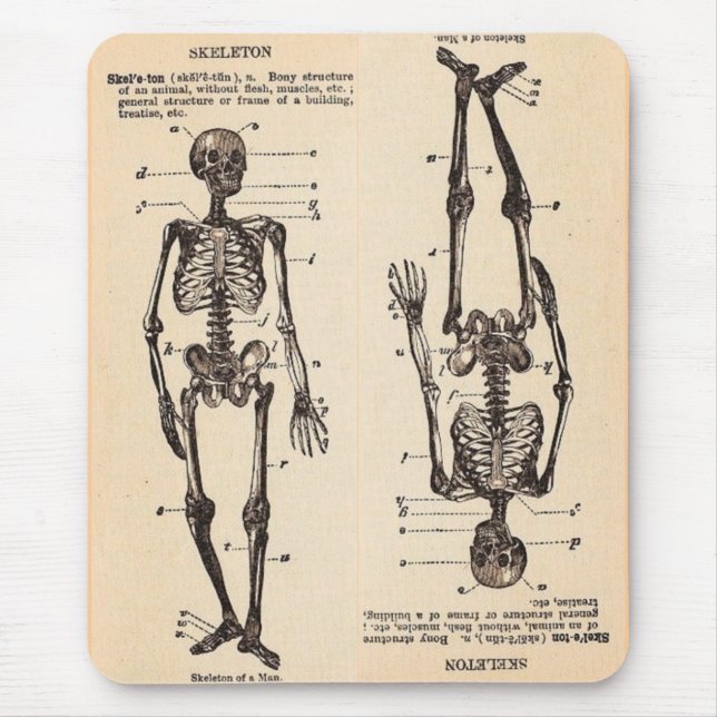 Vintage "Skeleton" Definition Mouse Mat (Front)