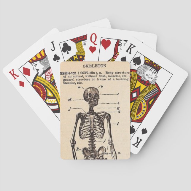 Vintage Skeleton Definition Playing Cards (Back)
