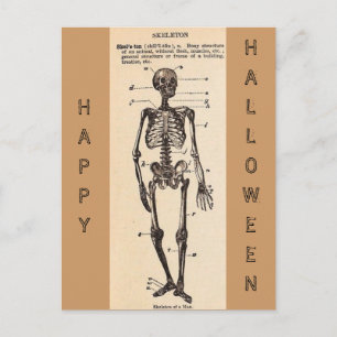 Vintage "Skeleton" Definition Postcard