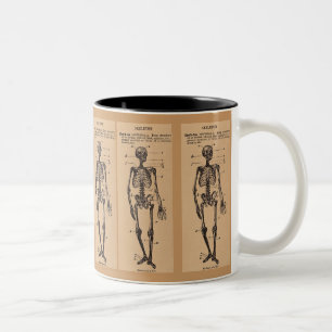 Vintage "Skeleton" Definition Two-Tone Coffee Mug