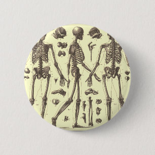 Vintage Skeleton Diagrams 6 Cm Round Badge