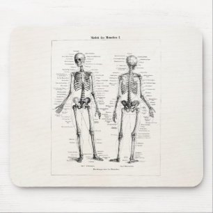 Vintage Skeleton Human Anatomy Bone Bones Skull Mouse Mat