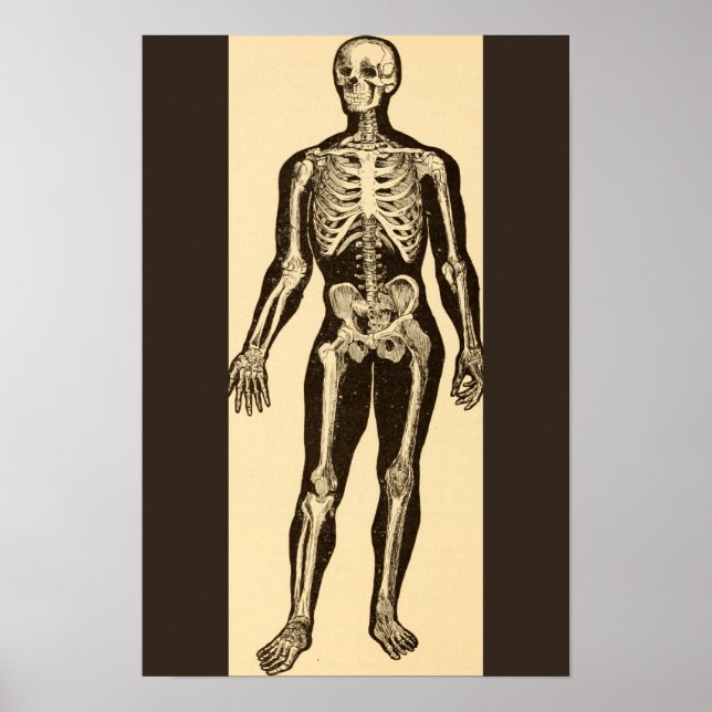 Vintage skeleton illustration aged whimsical  poster (Front)