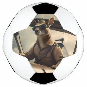 "Vintage Skies: The Kangaroo Pilot in Old Plane Football