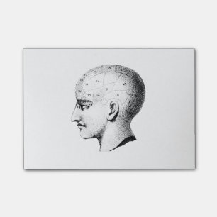 Vintage Skull Anatomy Chart Post it Notes
