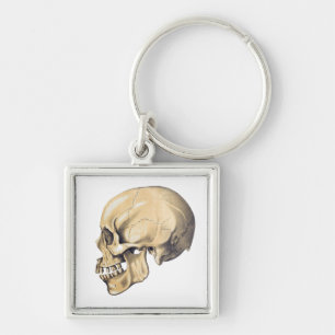 Vintage Skull Anatomy Illustration Key Ring