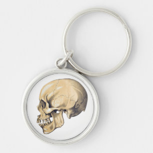 Vintage Skull Anatomy Illustration Key Ring