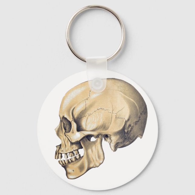 Vintage Skull Anatomy Illustration Key Ring (Front)