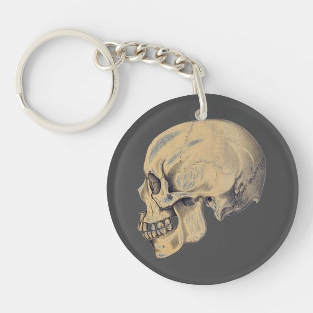 Vintage Skull Anatomy Illustration Key Ring (Front)
