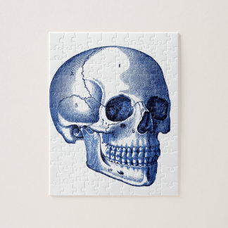 Vintage Skull Anatomy Jigsaw Puzzle