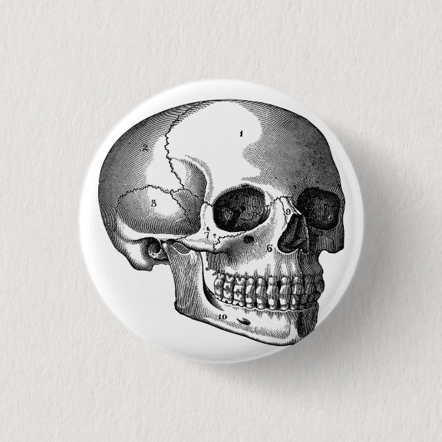 Vintage Skull Diagram Goth button pin (Front)