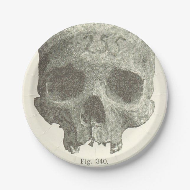 Vintage Skull Halloween Appetizer, Dessert Plate (Front)