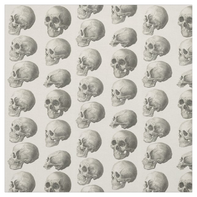 Vintage Skull Illustrations Fabric (Swatch)