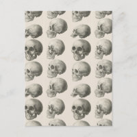Vintage Skull Illustrations