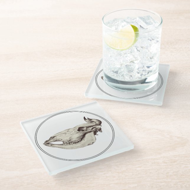 Vintage Skull of Cow Illustration Glass Coaster (Angled)