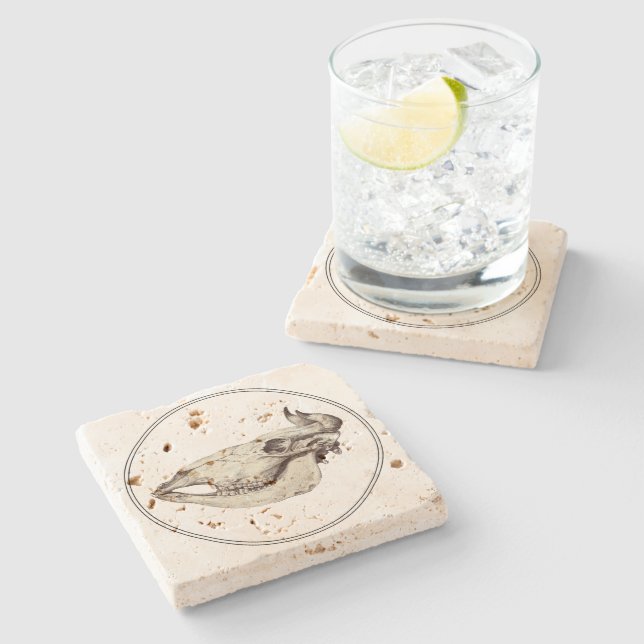 Vintage Skull of Cow Illustration Stone Coaster (Side)