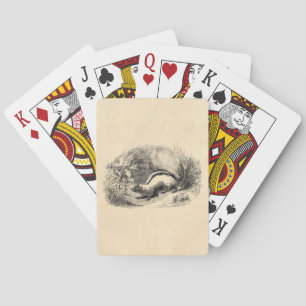Vintage Skunk 1800s Skunks Illustration Template Playing Cards