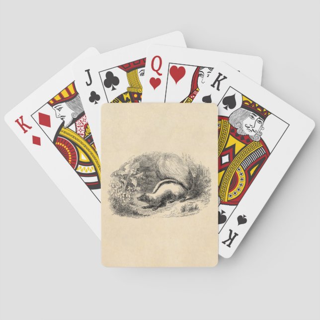 Vintage Skunk 1800s Skunks Illustration Template Playing Cards (Back)
