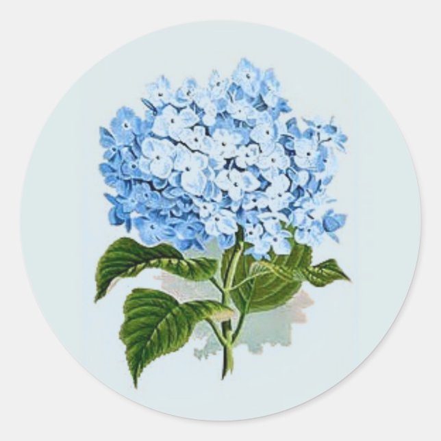 Vintage Sky Blue Hydrangea Classic Round Sticker (Front)