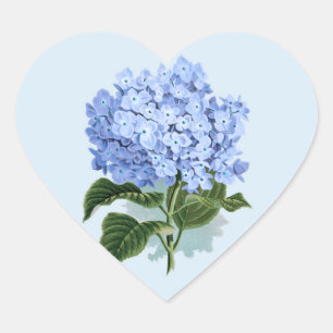 Vintage Sky Blue Hydrangea Flower Sticker