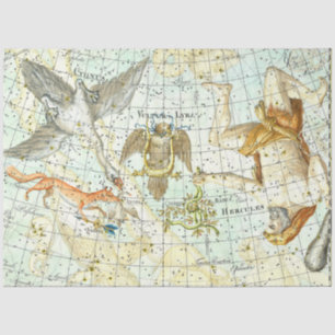 Vintage Sky Map Constellation of Hercules  Tissue Paper