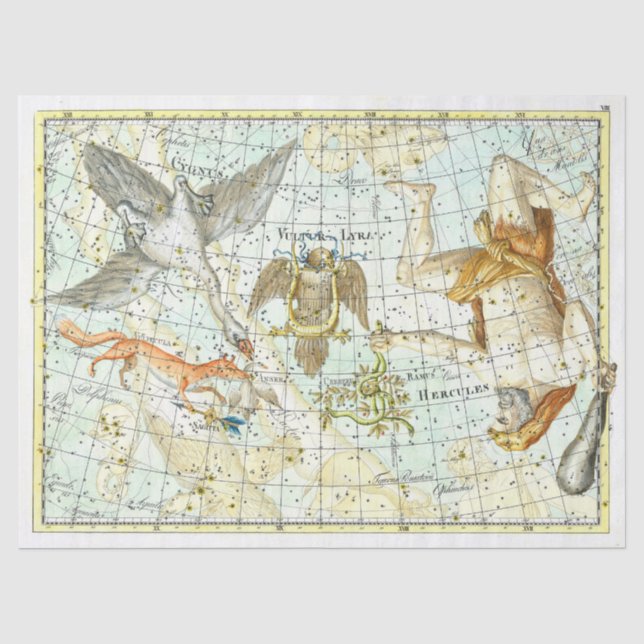 Vintage Sky Map Constellation of Hercules  Tissue Paper (Front)