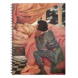 Vintage Sleeping Beauty by Jessie Willcox Smith Notebook