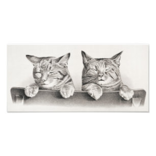 Vintage Sleeping Cats Lithograph, 1874 Photo Print
