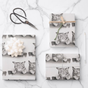 Vintage Sleeping Cats Lithograph, 1874 Wrapping Paper Sheet