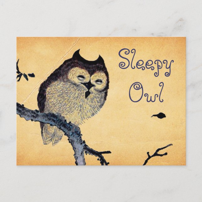 Vintage Sleepy Owl Postcard (Front)