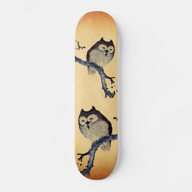 Vintage Sleepy Owl Skateboard (Front)