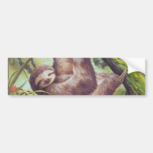Vintage Sloth Illustration Bumper Sticker (Front)