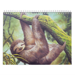 Vintage Sloth Illustration Calendar