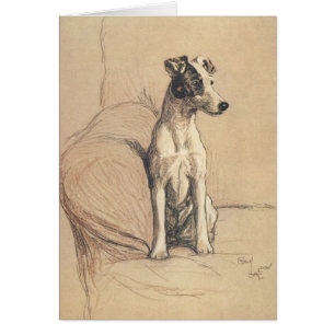 Vintage - Smooth Fox Terrier,