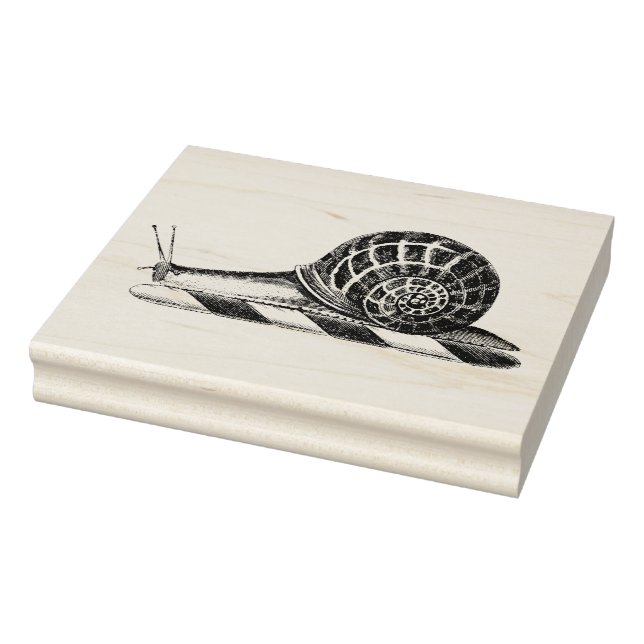 Vintage Snail Drawing Rubber Stamp (Stamp)