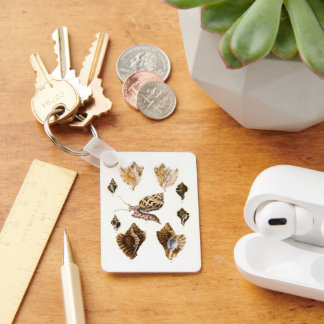 Vintage Snails and Mollusks, Marine Life Organisms Key Ring