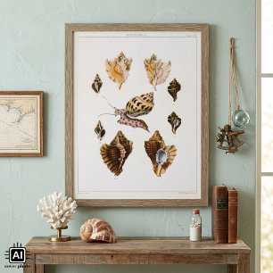 Vintage Snails and Mollusks, Marine Life Organisms Poster