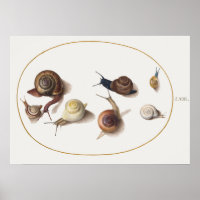 Vintage Snails