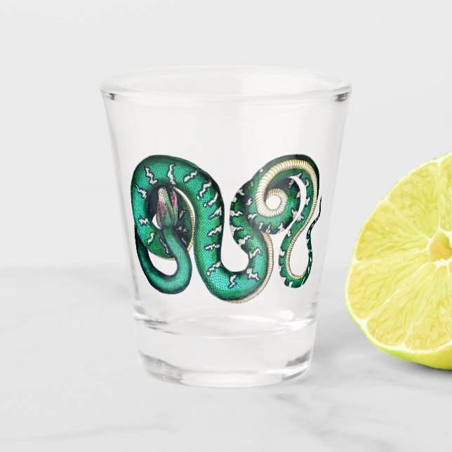 Vintage snake illustration reptile shot glass (Front)