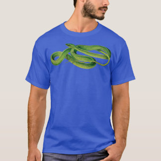Vintage Snake Pictures Boomslang Snake Vintage Rep T-Shirt