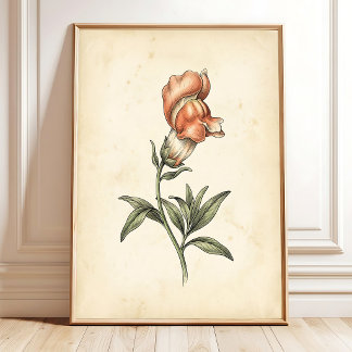 Vintage Snapdragon Botanical Wall Art Print Canvas